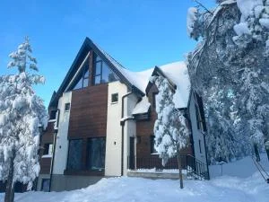 Anika Mountain Home exterior in winter with snow-covered pine trees